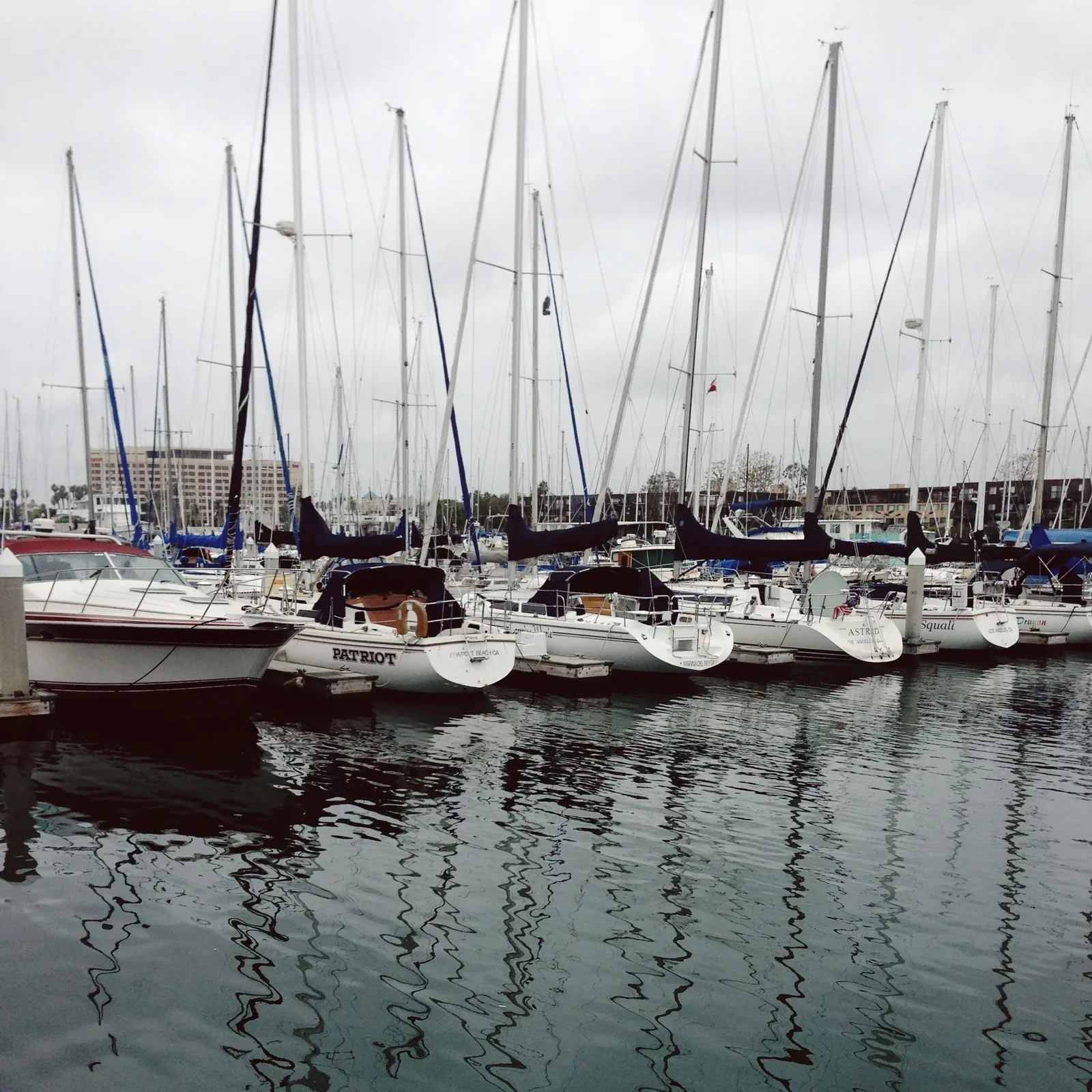 Sailboats moored in a marina, masts reflected in dark water